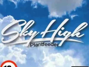Sky High 1g Bath Salts